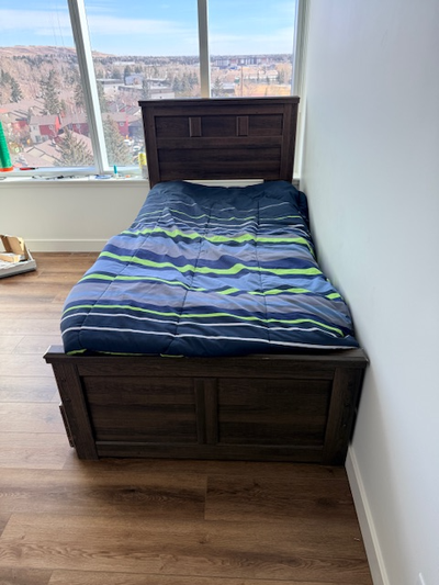 Twin bed with pull out trundle and mattress. Cash only