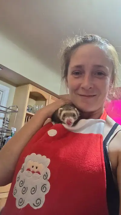 Beautiful super sweet ferret, View more