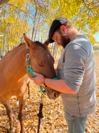 Equine Assisted Personal Development