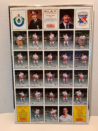 Uncut sheet of 1987-88 Kicthener Major Rangers team cards framed