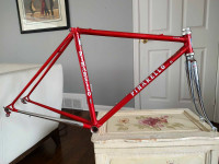 1989 Pinarello Asolo 48 cm Frameset