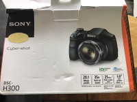 Sony DSC H300 Cyber Shot Camera