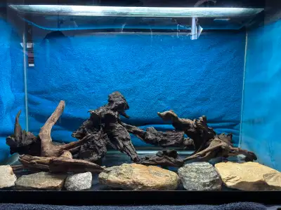 Fish Tank 30 gallon, View more