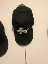 Toronto raptor’s hat