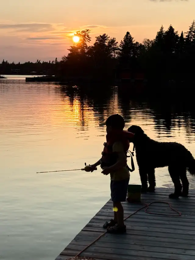 Cute dog in Dogs & Puppies for Rehoming in Winnipeg - Image 3