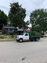 JB tree service and removal