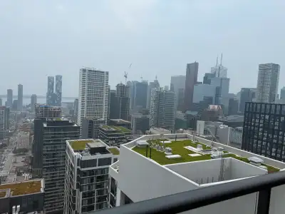 Fully furnished flat on rent