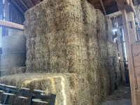 Dry hay square bale bundles. 