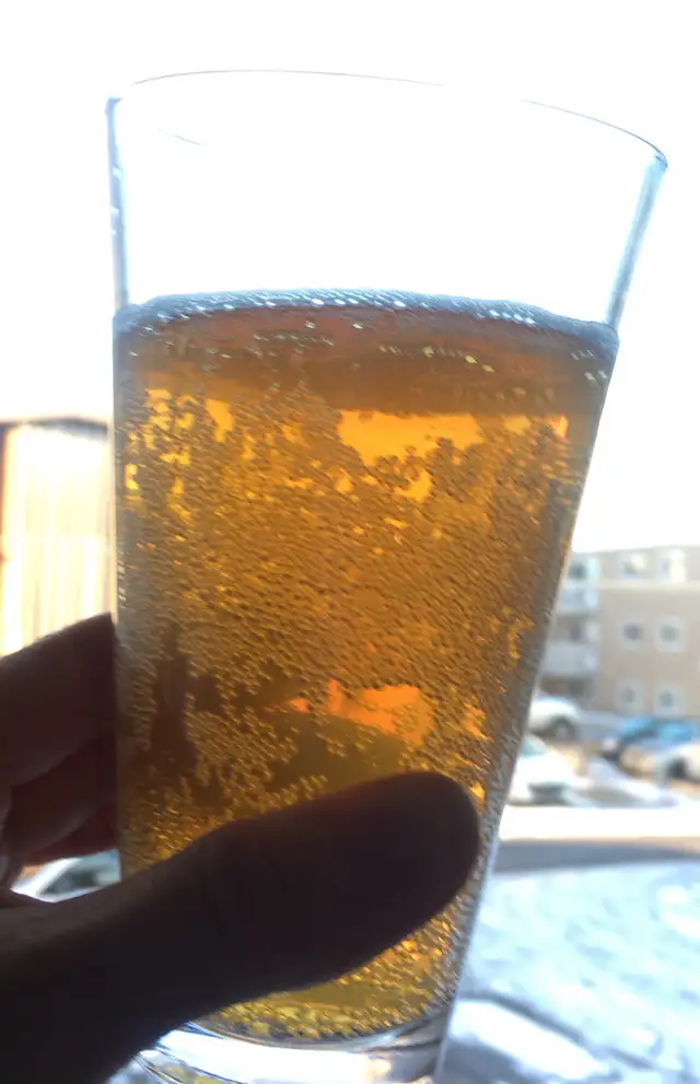 Kombucha Brewing Workshop – Small Group Experience65215451012738120