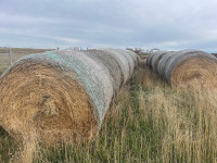 Hay and straw bales for sale 