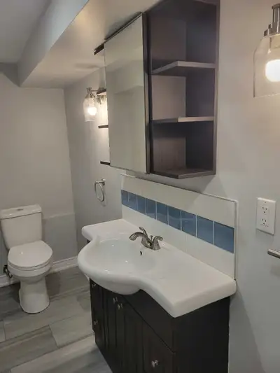 Legal "Walk-out" lower level of a raised bungalow with 2 spacious bedrooms available for rent. The a...