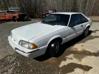 1989 Mustang 5.0 5 speed