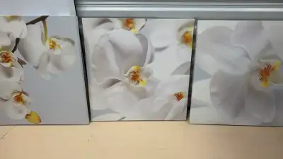 Orchid canvas photos , View more