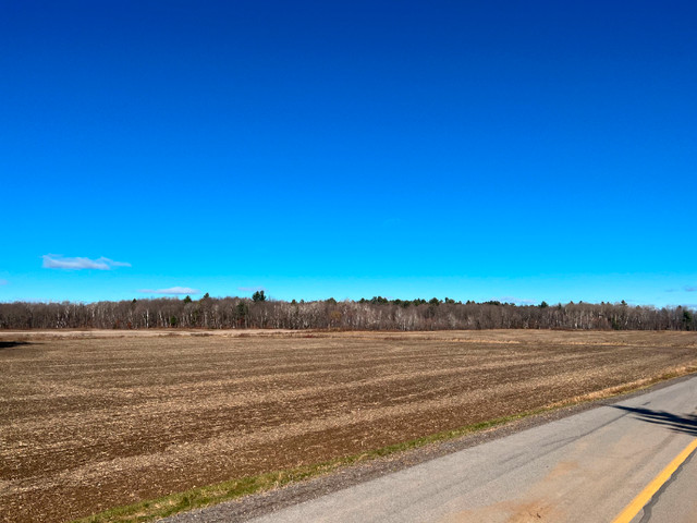 Terre agricole biologique à vendre dans Terrains à vendre  à Lanaudière - Image 2