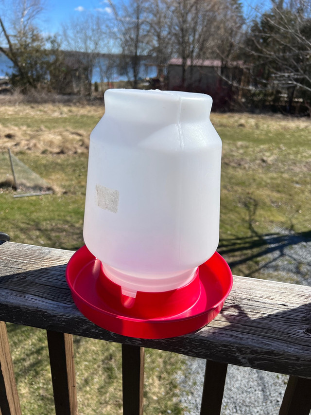 Chicken feeders and waterers in Accessories in Kawartha Lakes - Image 2