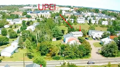 Room rent -A very warm and bright large room Walk to UPEI 5 minuts, and walking distance superstore...