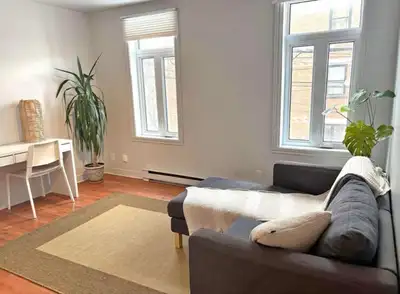 Cession de bail 1er juillet 2026 au 30 juin 2027. Petit bijou 3 ½ ENTIÈREMENT MEUBLÉ AVEC CHIEN situ...