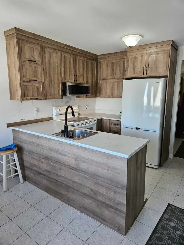 4-1/2 , St-Constant,  février