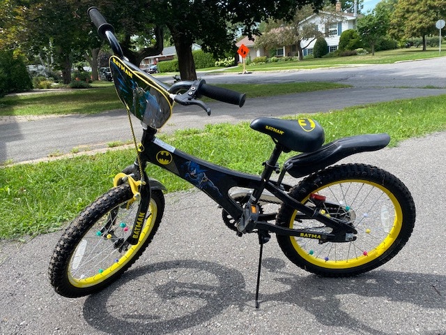 kijiji kids bike