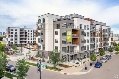 Hey everyone, I need someone to take over my lease in Rohit Communities Muttart 3 starting May or Ju...