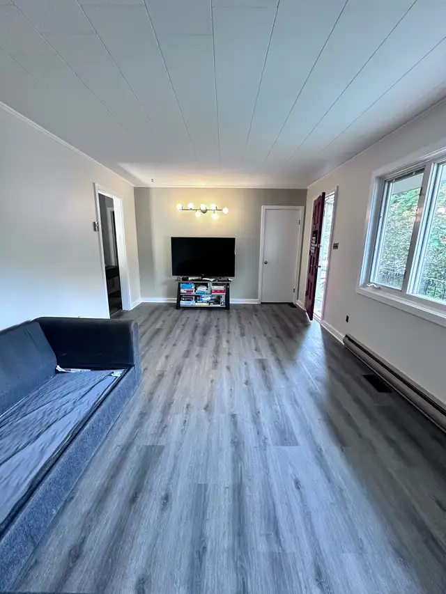 Professional Painter63654774555907121