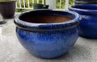 Large Ceramic Pot Plant
