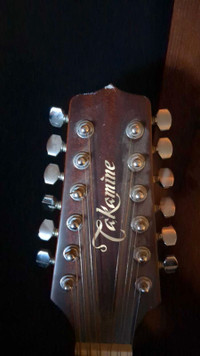 Takamine 12 String Semi Acoustic (minor damage)