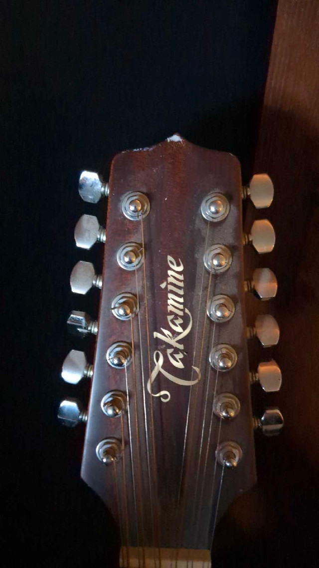 Takamine 12 String Semi Acoustic (minor damage) in Guitars in Leamington