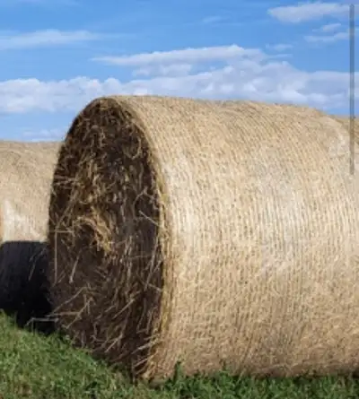 Hay/Oat Bales for Sale, View more
