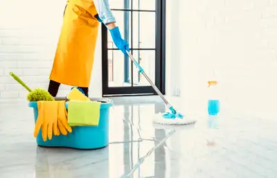 Meticulous & Trustworthy Cleaning Services, View more