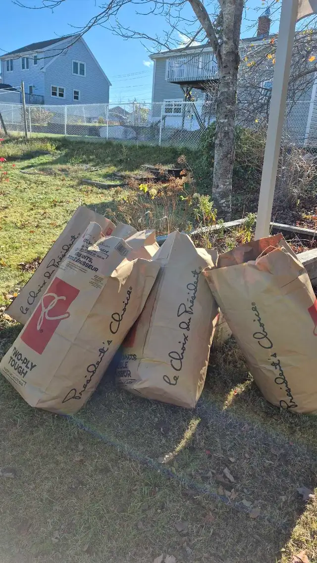 leaf raking / yardwork / painting425646072393912328