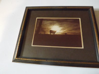 Framed Pictures-Great xmas gift