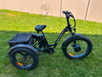 Electric Voltbike Trio ... Like new (used once@36 km)