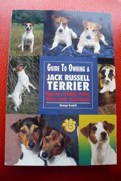GUIDE TO OWNING A JACK RUSSELL TERRIER ( BOOK )