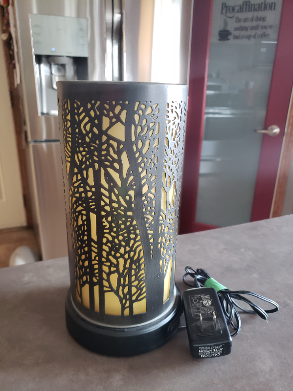 Candles, Warmers and More in Home Décor & Accents in Saskatoon - Image 2