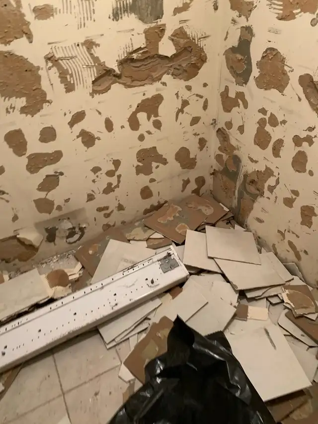 INTERIOR DEMOLITION & RENOVATION PREP | CLEAN in Renovations, General Contracting & Handyman in Oakville / Halton Region - Image 5