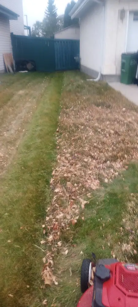 Top quality yardwork at a great value, based central NE533919362576568328