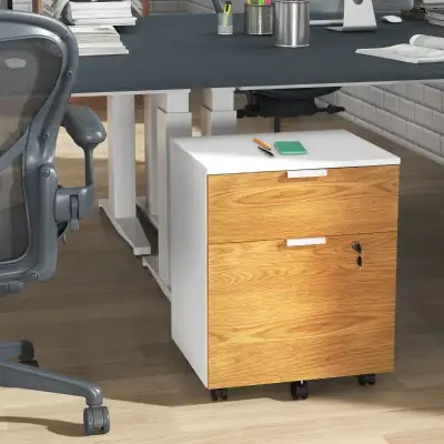 2 Drawer Small Filing Cabinet Lockable Office Storage Cabinet wi, View more