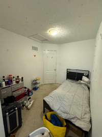 Nice room for rent