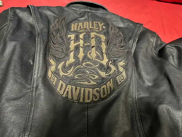 HARLEY DAVIDSON “STARGAZE”LEATHER JACKET in Women's - Tops & Outerwear in Kitchener / Waterloo - Image 8