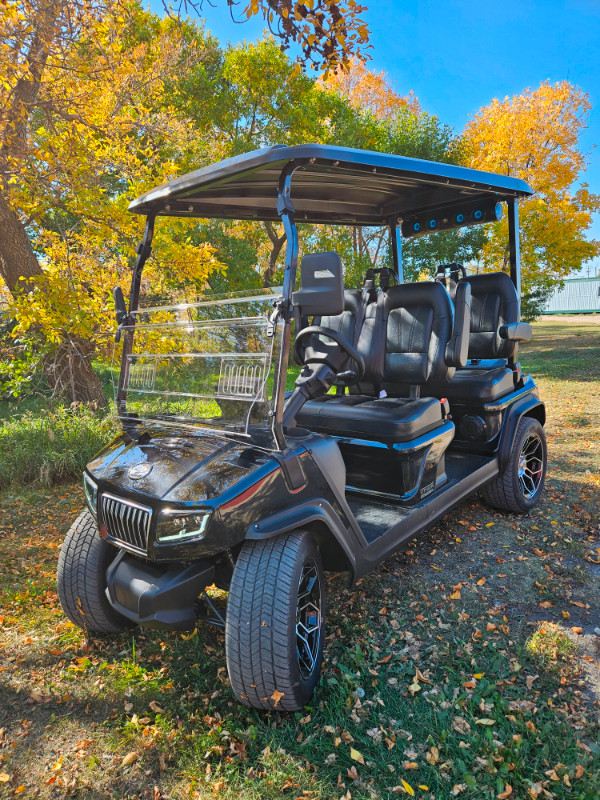 2023 Hdk Lithium D5 Golf Cart and Street Machine 4 seater in Golf in Saskatoon