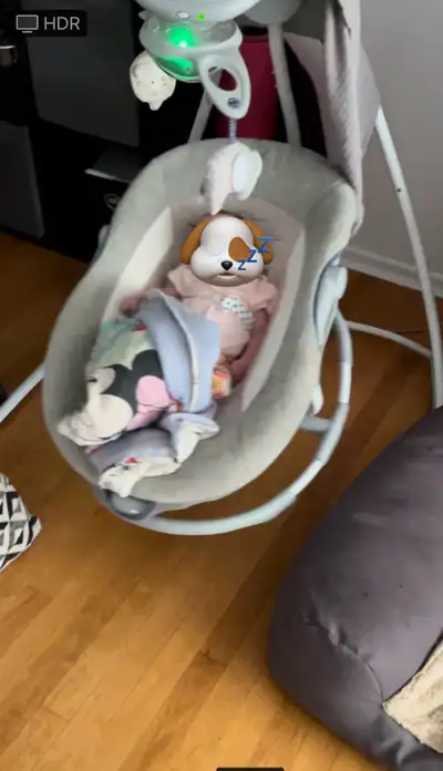  2-in-1 Baby Swing & Rocker, View more