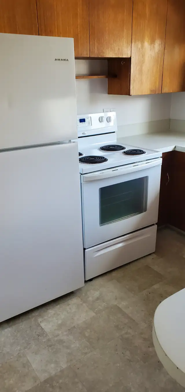 Older character home for rent. in Long Term Rentals in Prince George - Image 14