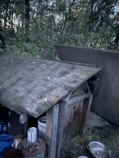 I have lots of Dog houses on my farm for sale. I deliver, View more