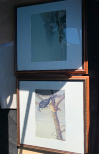 2 Robert Bateman prints