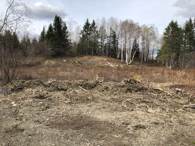 1 Acre Land dans Terrains à vendre  à Edmundston - Image 4