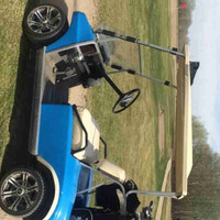 Looking for a golf cart project
