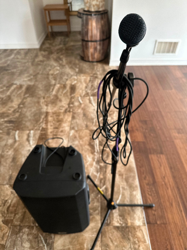 professional microphone in Speakers in St. Catharines - Image 2