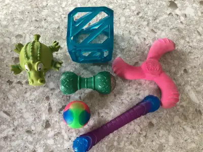 Jouets pour chien / Dog toys (1) Voir mes autres annonces / See my other adds