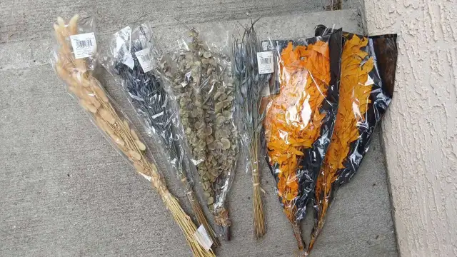 Dried Foliage NEW